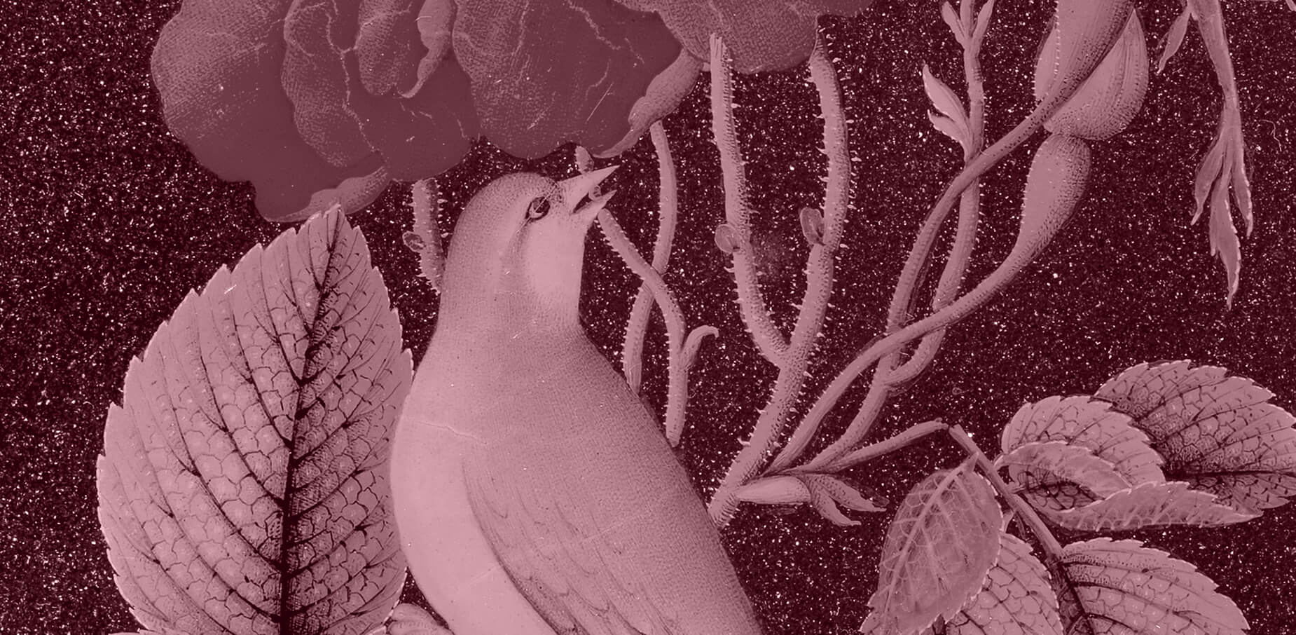 Wiegand - Decorative Image with Birds